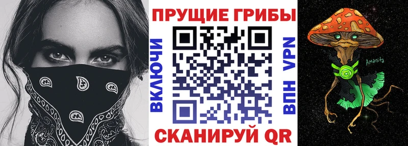Галлюциногенные грибы мицелий  где можно купить   Великий Устюг 