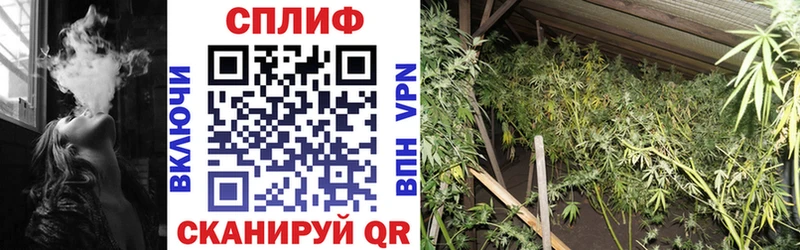 Бошки марихуана план Великий Устюг